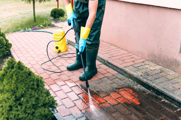 Animal Enclosure Cleaning in Beachwood, OH